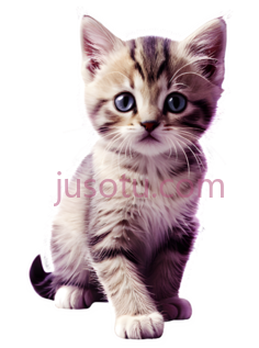 小猫,卡通,灰色,白色PNG