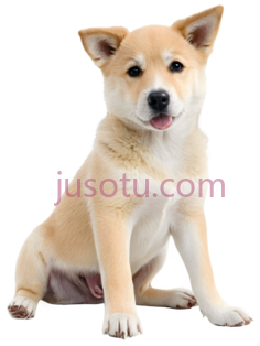 狗,卡通,浅棕色PNG