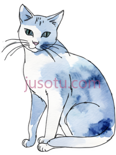 猫PNG