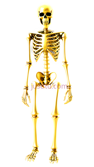 人体骨骼,卡通,金色, PNG