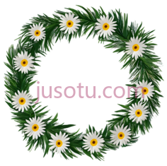 花环,圆形排列,白色,黄色,绿色PNG