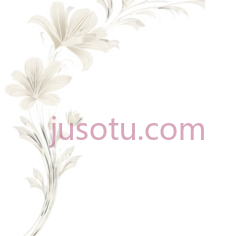花卉图案,线条,白色PNG