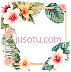 花朵,叶子,插画,白色,黄色,粉色PNG