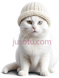 猫,戴着一顶米白色的针织帽,白色PNG