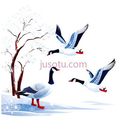 树,鹅,插画,白色,蓝色,红色, PNG