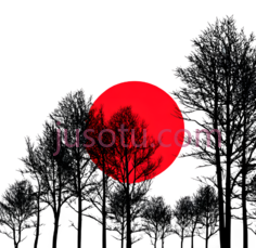 森林,月亮,剪影,红色PNG