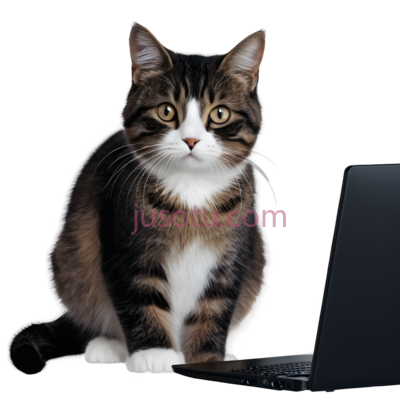 猫,自然,黑色, 白色, 灰色, PNG