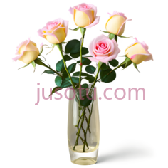 玫瑰花,插花,粉色PNG