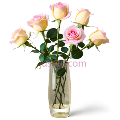 玫瑰花,插花,粉色, PNG