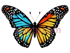 蝴蝶,卡通,蓝色,黄色,橙色PNG