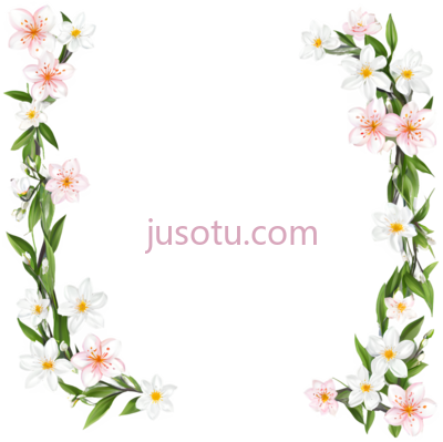 春花, PNG