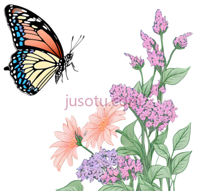 花园,蝴蝶, PNG