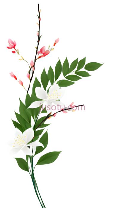 花朵,叶子,插画,白色,粉色,绿色, PNG