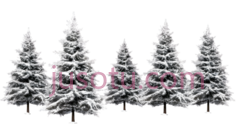 冬景,树木PNG