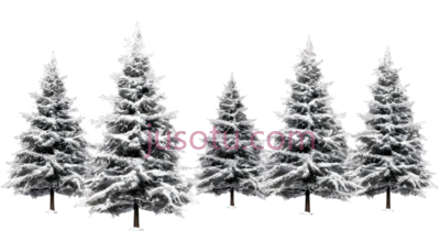 冬景,树木, PNG