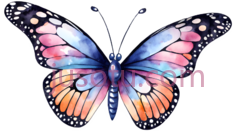 蝴蝶,卡通,蓝色, 粉色, 橙色PNG