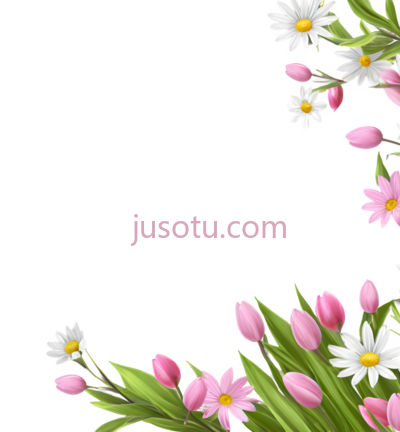 花, PNG