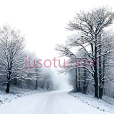 雪景,自然风光,白色,黑色PNG