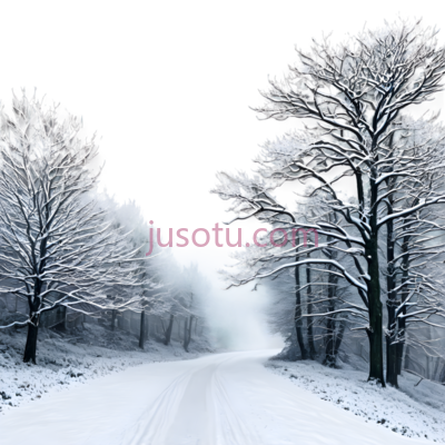 雪景,自然风光,白色,黑色, PNG
