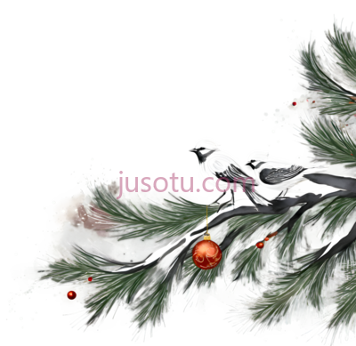 雪松枝,插画,绿色,白色,红色, PNG