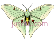蛾, PNG