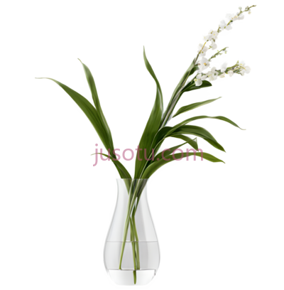 花瓶,室内, PNG
