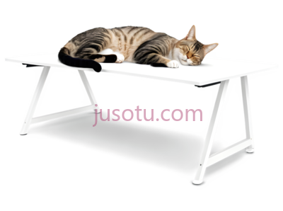 猫,趴着,棕色,黑色,白色, PNG