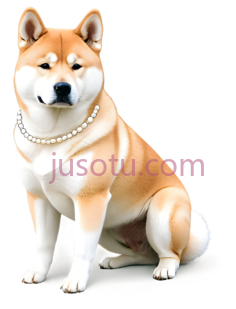 柴犬,佩戴珍珠项链,黄色,白色PNG