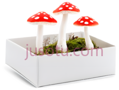 蘑菇礼品盒, PNG