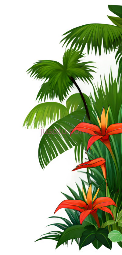 热带花卉,植物,卡通,红色,黄色,绿色, PNG