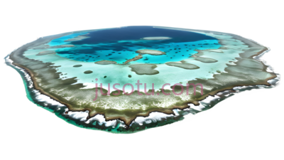 贝壳,自然,蓝色,白色, PNG