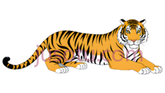 老虎,丛林, PNG