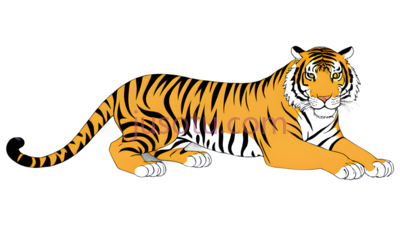 老虎,丛林, PNG