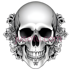 骷髅,装饰性图案,白色PNG
