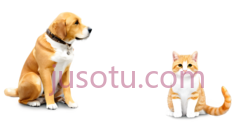 狗,猫,坐着,橙色,白色PNG