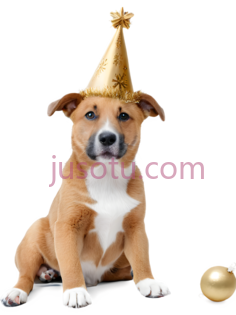 狗,戴生日帽,棕色,白色PNG
