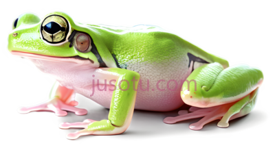 树蛙,卡通,绿色, PNG