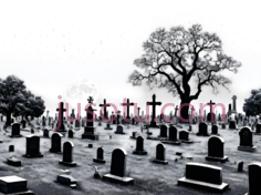 墓碑,黑白,白色PNG