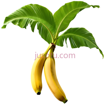香蕉,自然,黄色, PNG