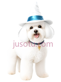 狗,戴帽子,白色PNG