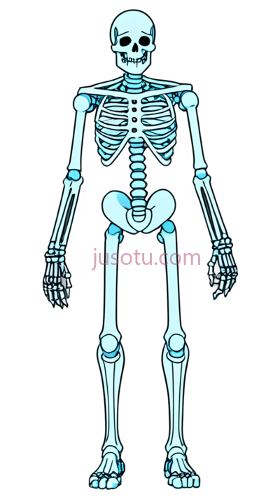 人体骨骼,卡通,白色, PNG