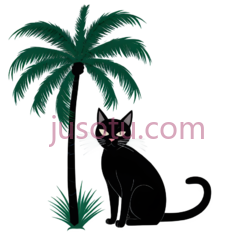 黑猫,棕榈树PNG
