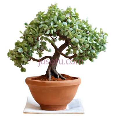 盆景,中式盆景,绿色植物,棕色树干,橙色花盆, PNG