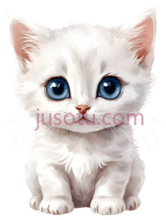 猫咪,毛发,大眼睛PNG