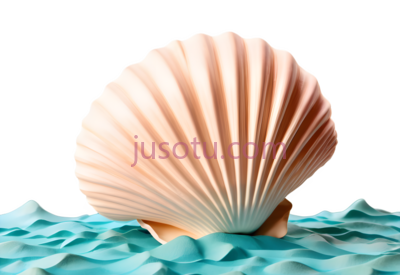 贝壳,卡通,浅粉色, PNG