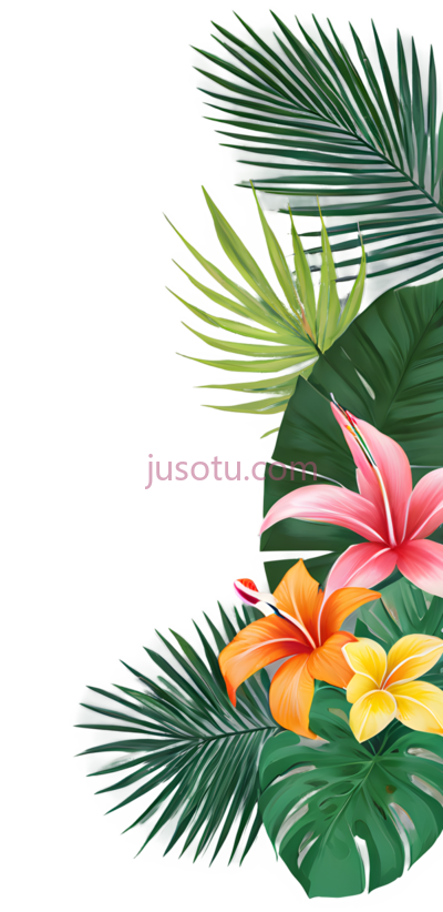 热带植物, PNG