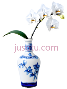 花瓶,青花瓷,蓝色,白色PNG