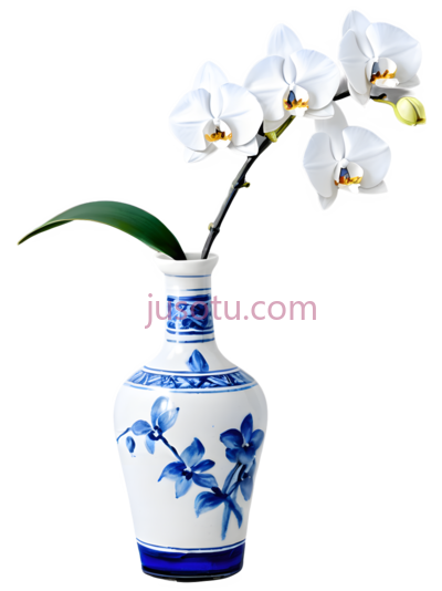 花瓶,青花瓷,蓝色,白色, PNG