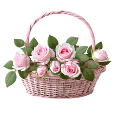 花篮,编织,粉色PNG