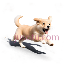 狗,奔跑,黄色PNG